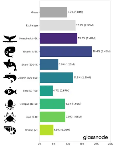 Bitcoin Whales Infographics