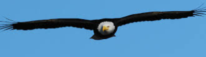 32aa7b1486670051494f213a1594db5b58176372e808561bae877e80eebdc86d.png