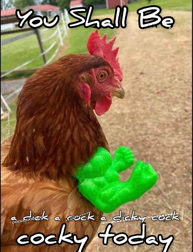 A cocky chicken with fake arms