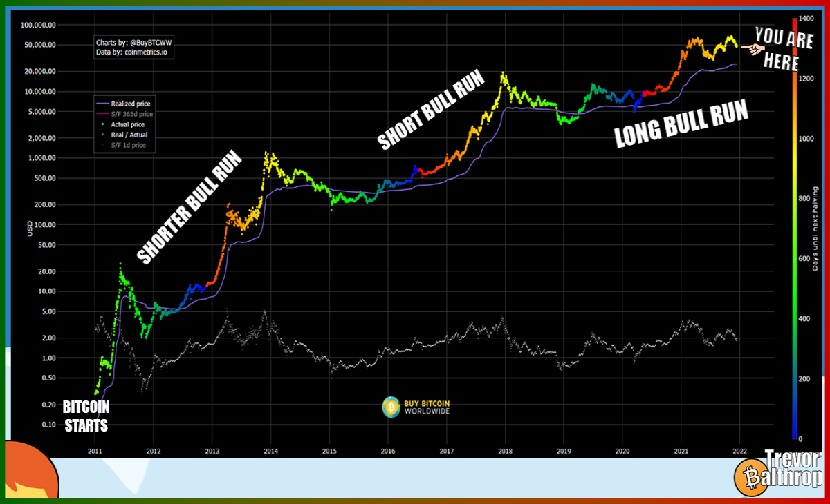 TREVOR BALTHROP BITCOIN ETHEREUM HISTORICAL MONTHLY DATA CHART CRYPTOCURRENCY PREDICTION TRADING INVESTING WHALE DEFI NFT THE REDHEAD