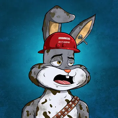 RNR Rabbit 2