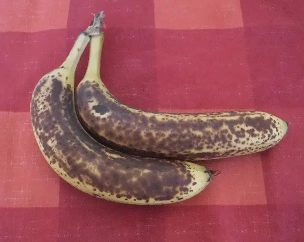 ripe bananas