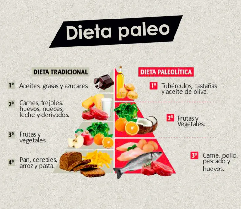 Variedad y comparación de ingredientes de dietas.