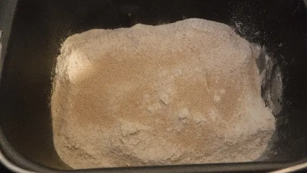 bread yeast