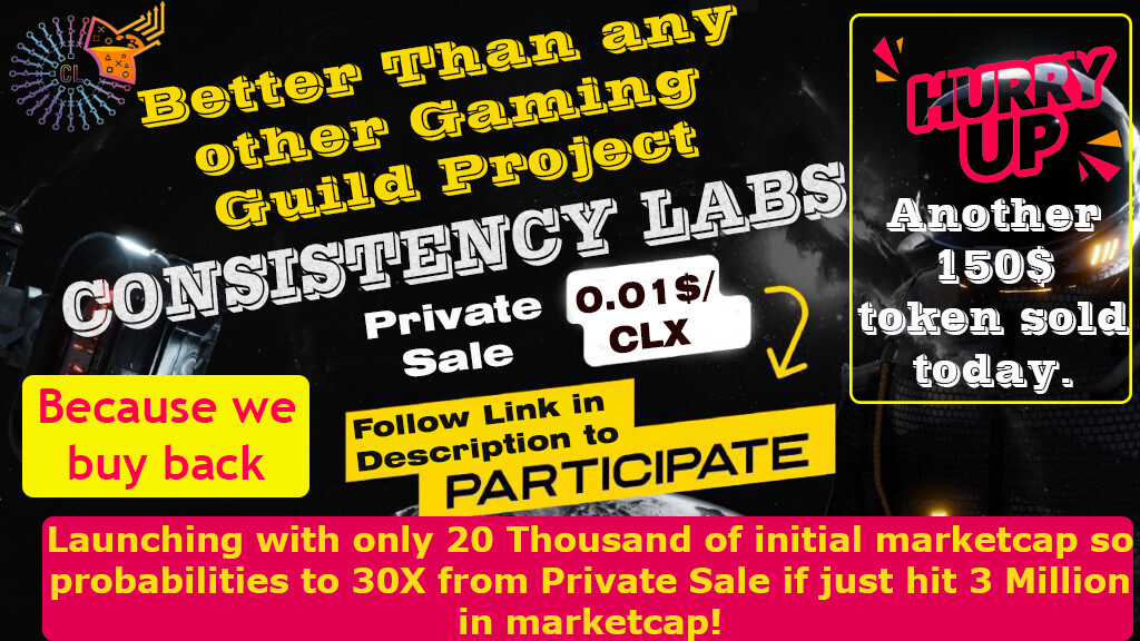 Consistency Labs private sale ido