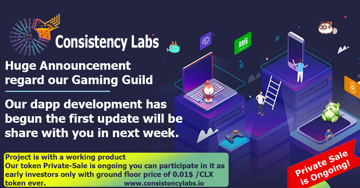 Consistency Labs private sale ido