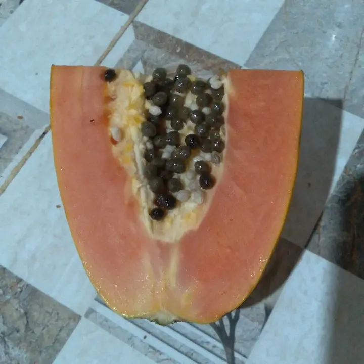 Buah pepaya