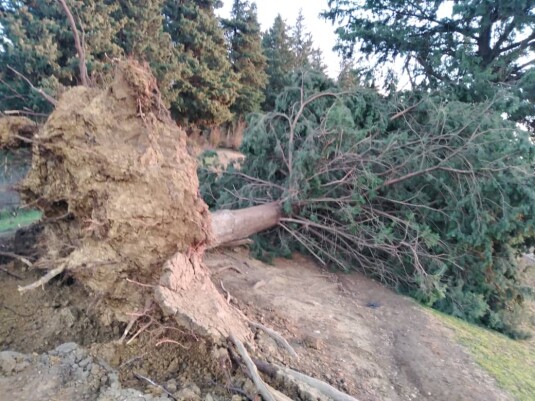 Mountain Hiking & The Tragedy of Storm Beyond Belief