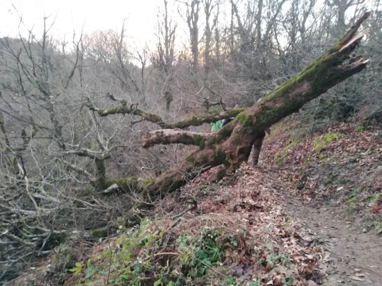 Mountain Hiking & The Tragedy of Storm Beyond Belief
