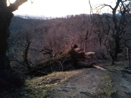 Mountain Hiking & The Tragedy of Storm Beyond Belief