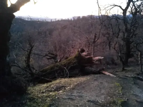 Mountain Hiking & The Tragedy of Storm Beyond Belief