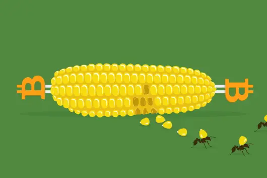 8b7d788c1e833974da869663a4ce43fe694d79719e35c5a97ac2ffaf8e1e3670.jpg