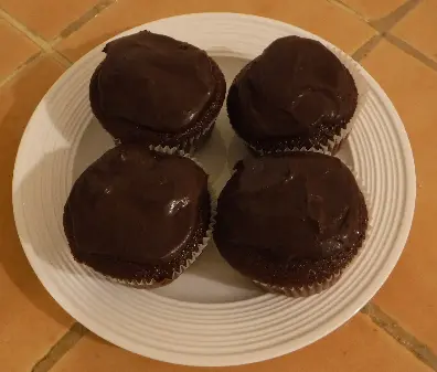double chocolate cupcakes