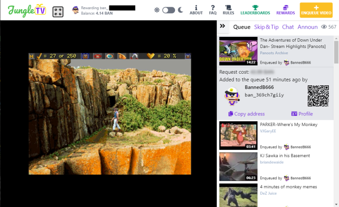 Figure 3. Video Enqueuer information.