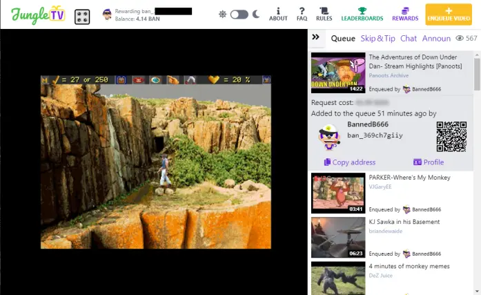 Figure 3. Video Enqueuer information.