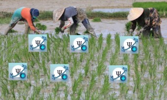 bpsi farm