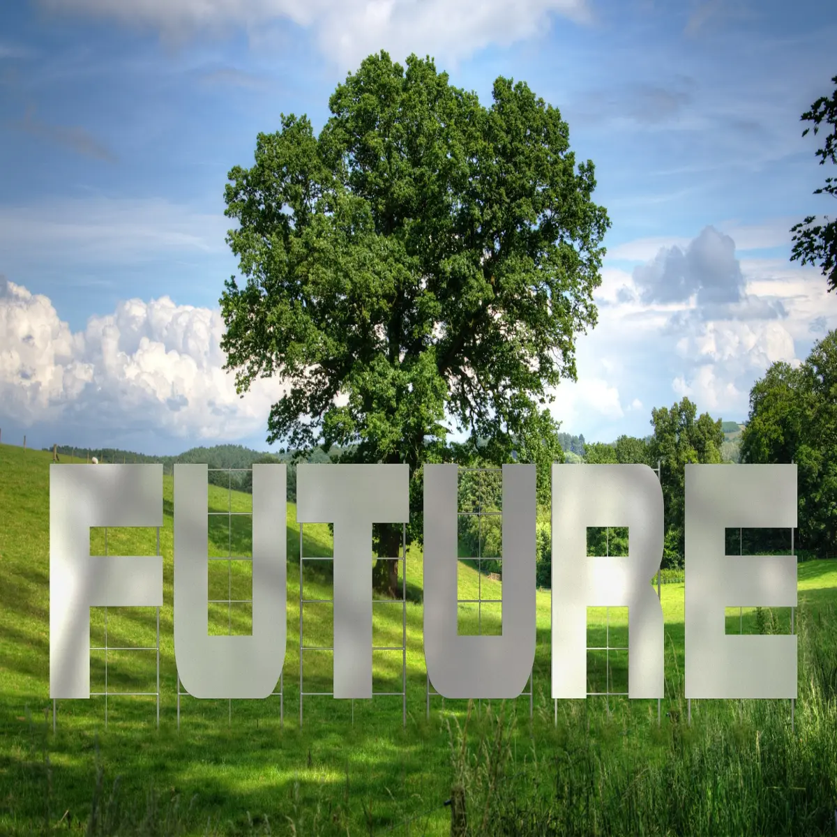 We should growing up towards our future expectation
