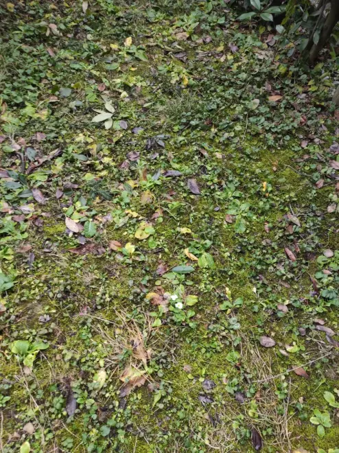 2ba6af046609c71634a32dc5b5f70dd27e9e05f0d4ba92c771789fbdcdbd33b7.jpg