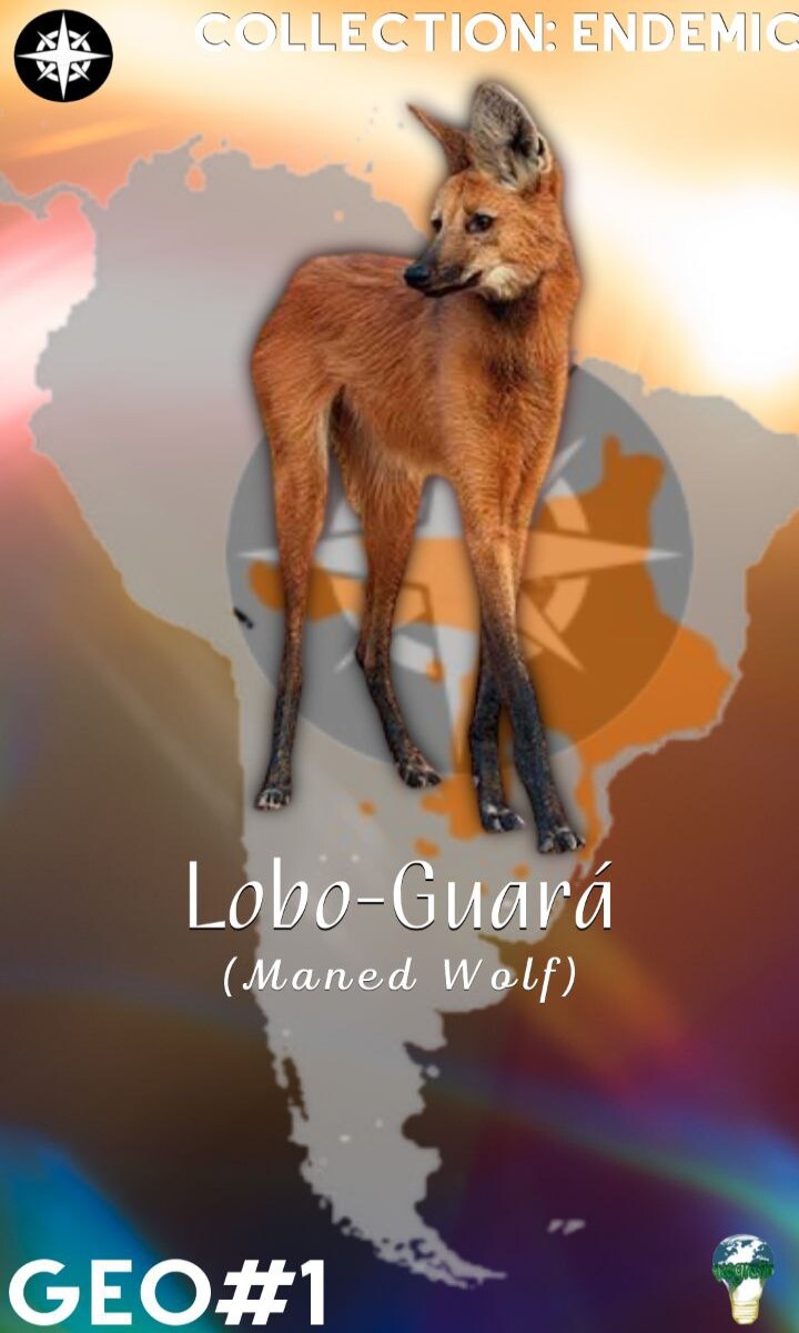 manef wolf Geography (GEO)