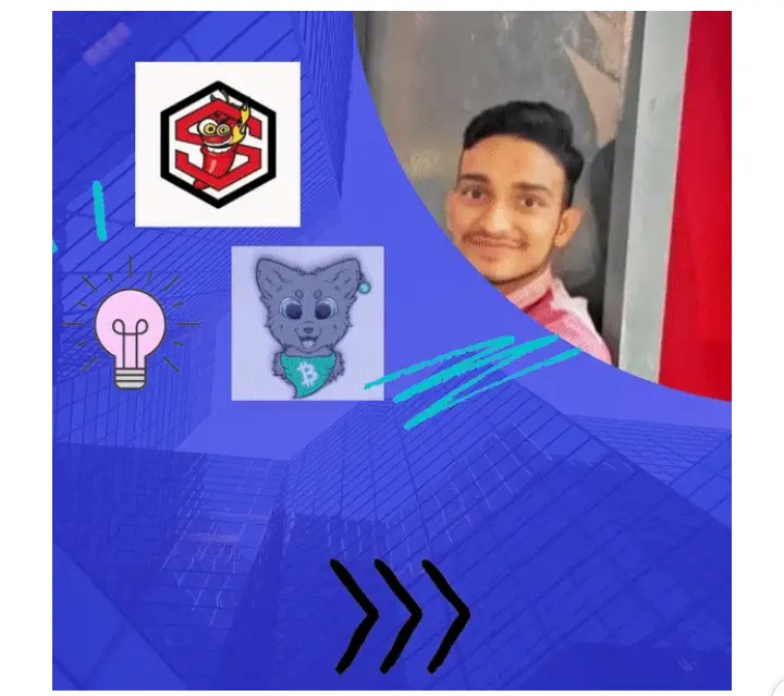 sBCH token world