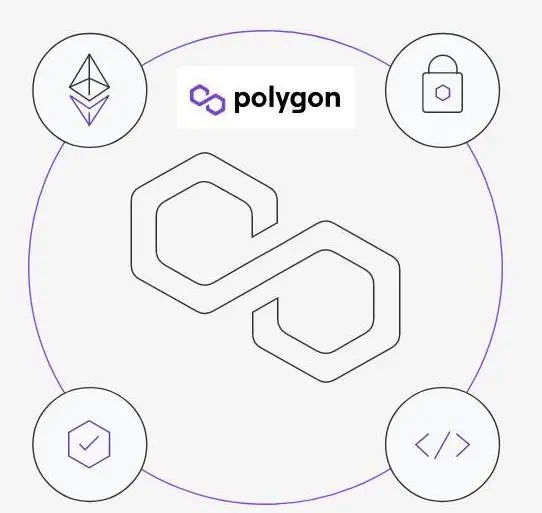 crypto blockchain polychain
