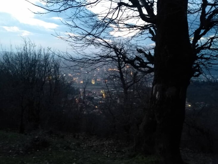 Twilight Hiking & Tall Trees That Are No Longer With Us