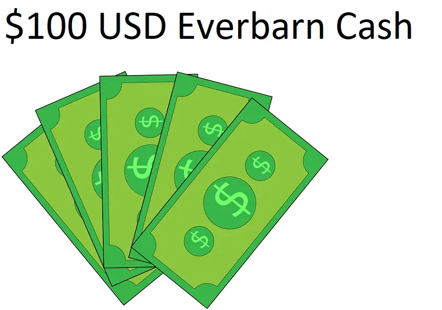 $100 USD Cash