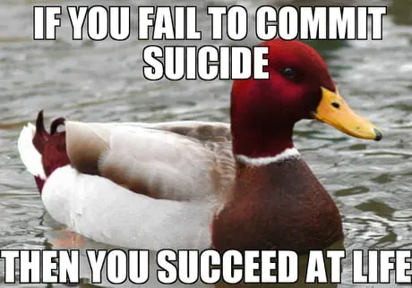 d074d7e5fbd68cf50ef6e4b0bf2953bd4cf35e7c3a3205fd9214fb5743952a94.jpg