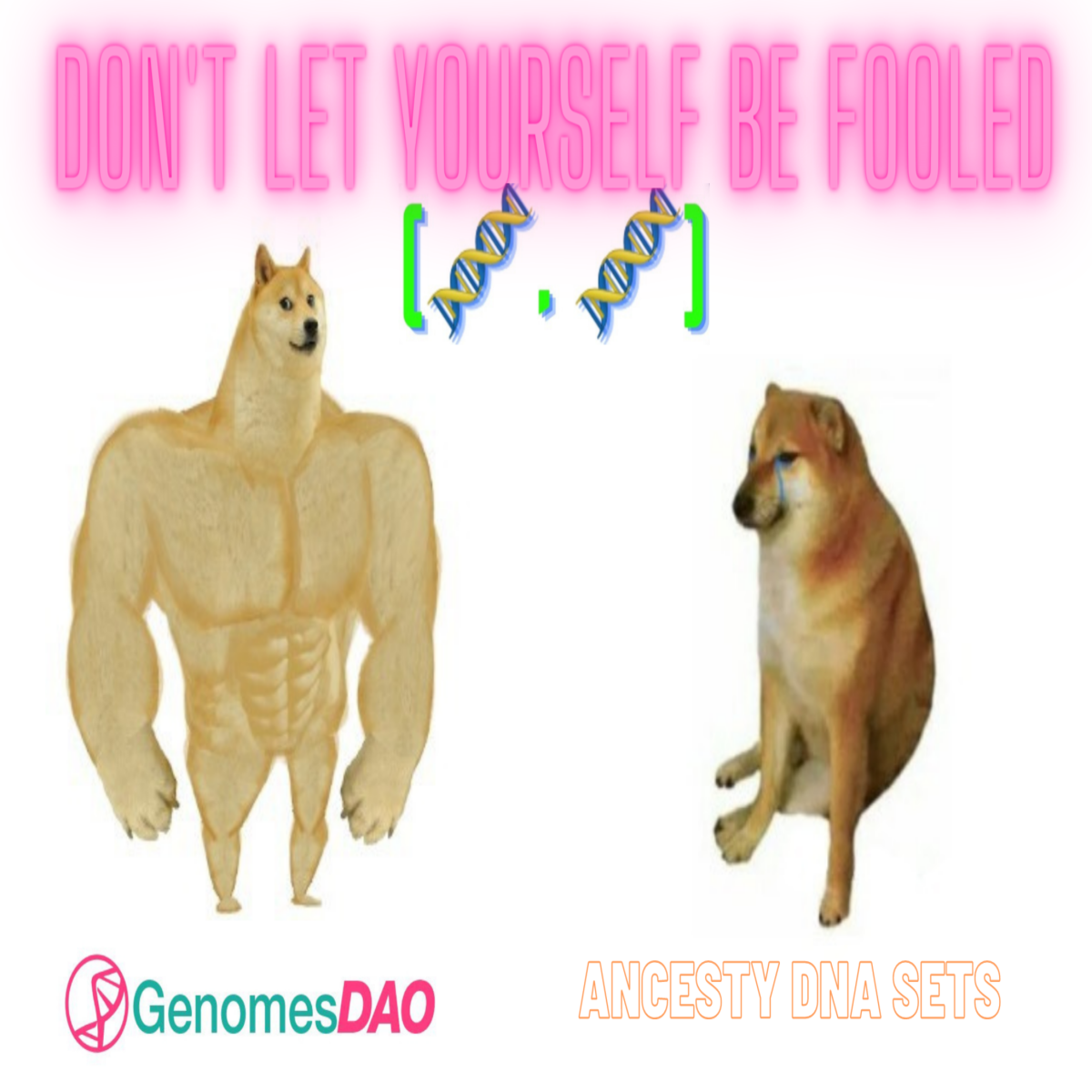 3eab594a8b796877cb7e3b8047292ddaac37543a0fee5b779759b4f0ebc83f03.png