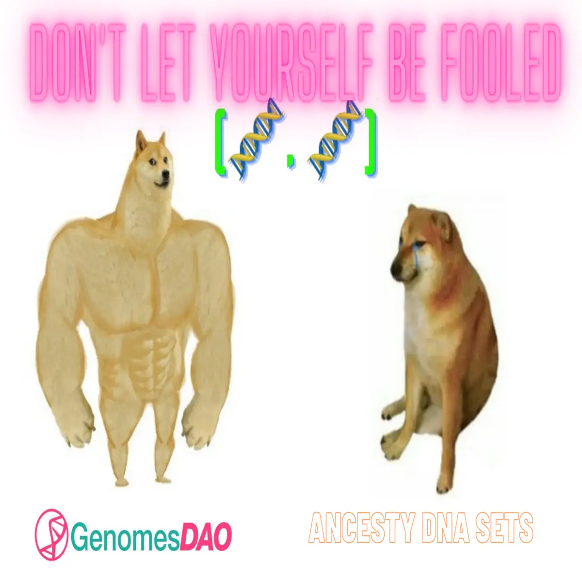 3eab594a8b796877cb7e3b8047292ddaac37543a0fee5b779759b4f0ebc83f03.png