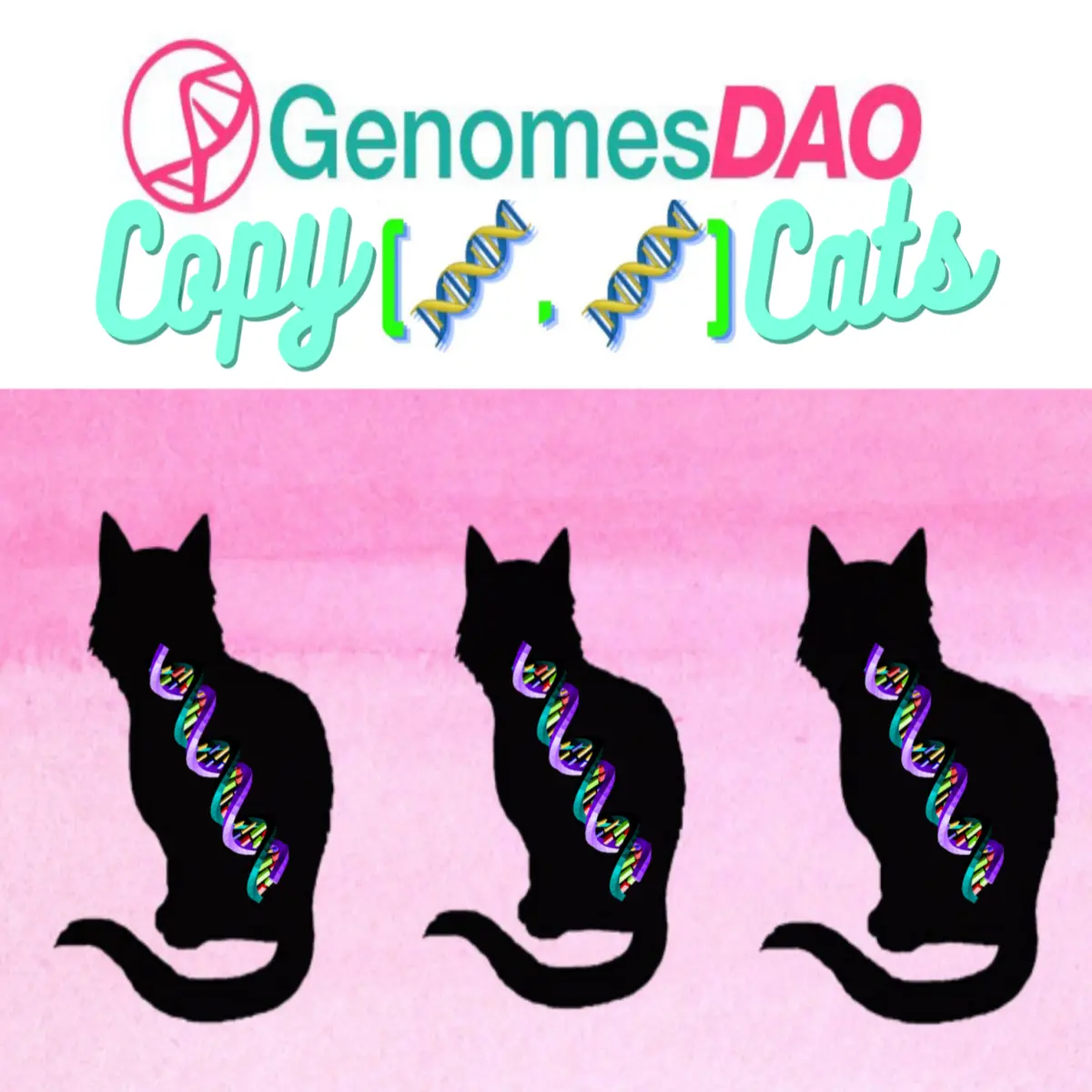 2e6b46a02b160dd6668165e56535e55cbe23e319f28980f6dd1160ba1cd4700b.png