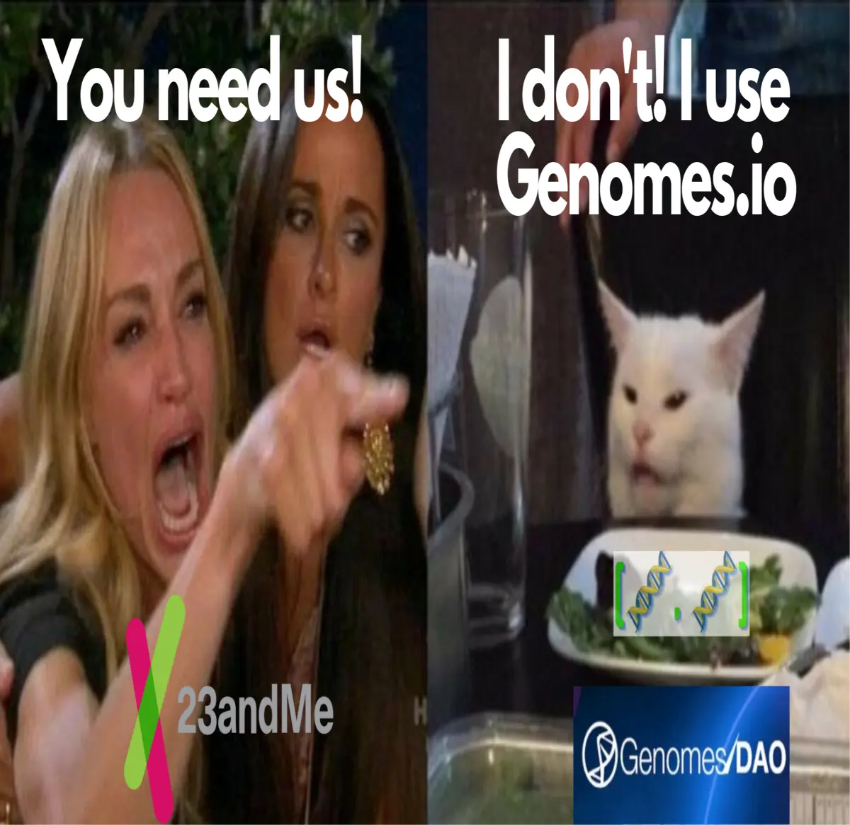 f7a17290f9b8393a5d9d4bd76512f1c25e54219ba07adf3631f9ec749e5941de.png
