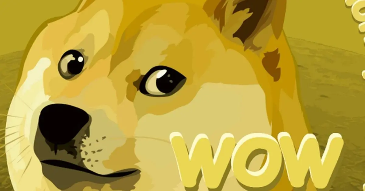Why Are There So Many Doge Coins?
