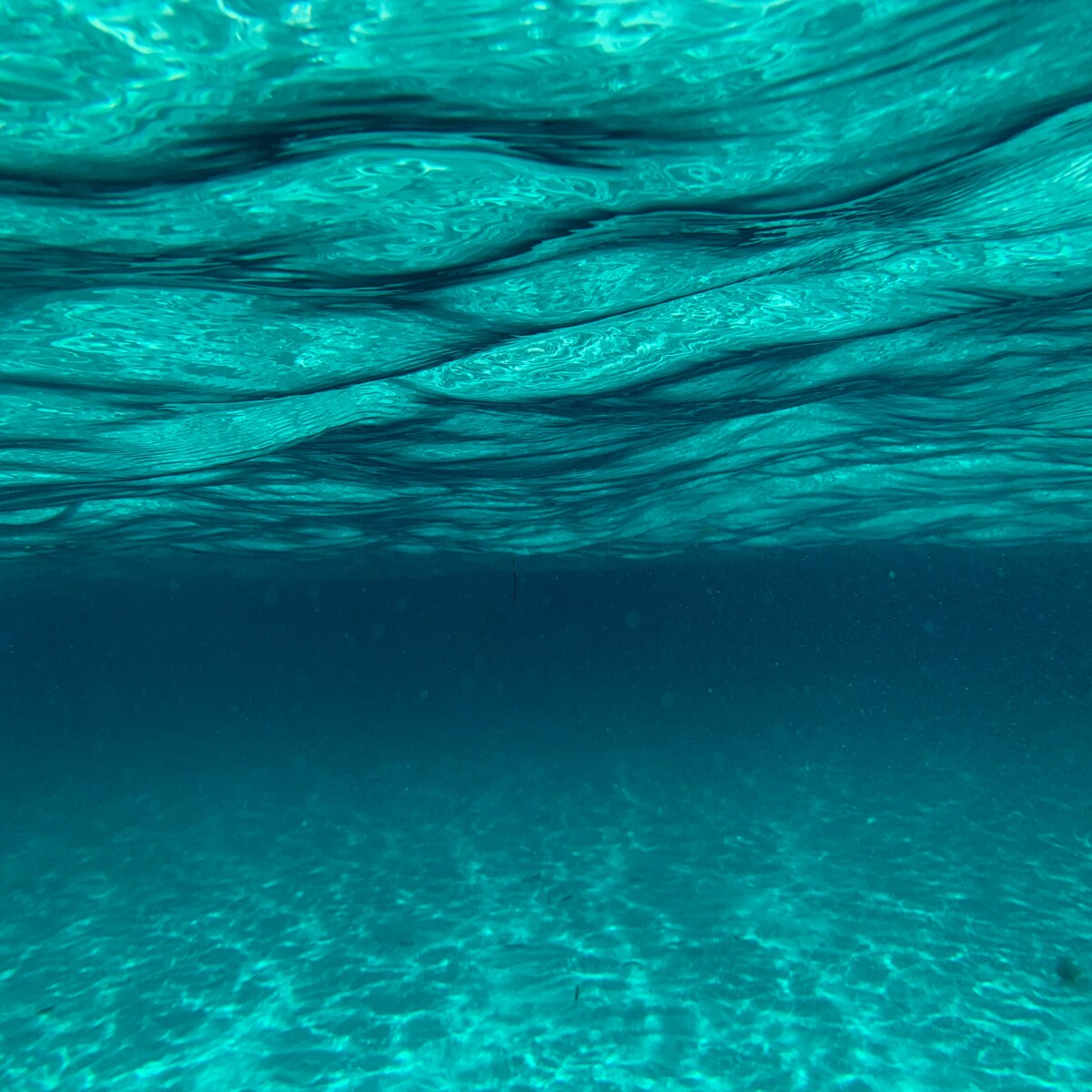 567f1a5347e95422267d355120f4a9741638edf2278b89982e337b1e6aa0f52b.jpg