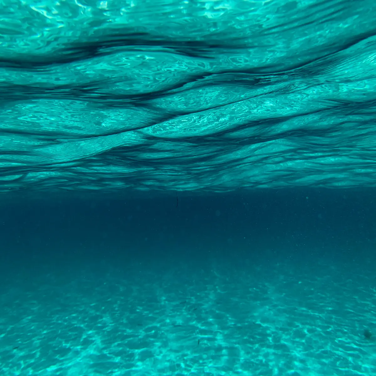 567f1a5347e95422267d355120f4a9741638edf2278b89982e337b1e6aa0f52b.jpg