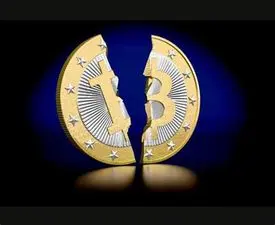 c3615f5cbd4083b5b2c6ee81127776257af30d889d82674d837b665934f46d6b.jpg
