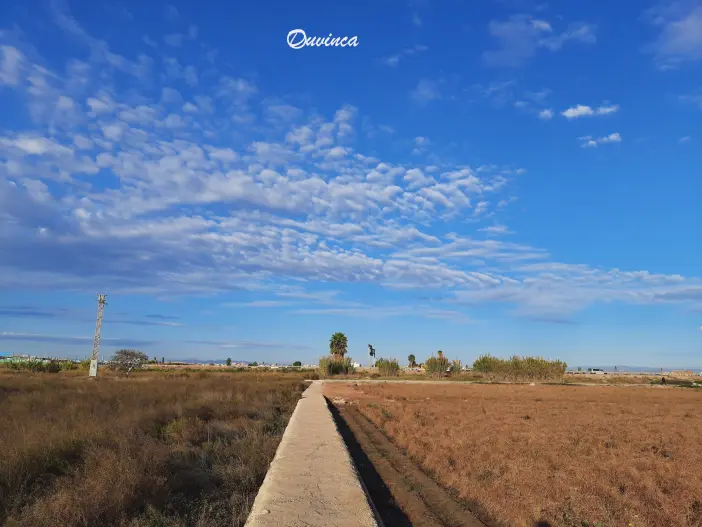 path