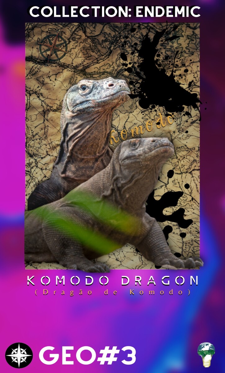komodo dragaon endemic