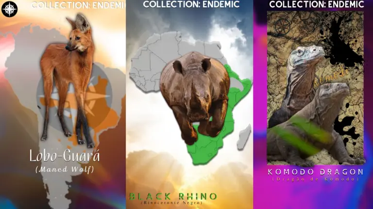 endemic collection algogems geography geo token