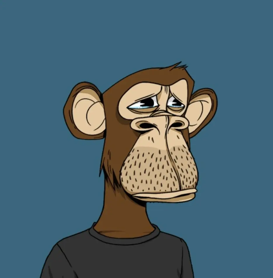 44272d110c205b91457bbe15c0cf33874c8c0fa52d47f13dc6fe222e260f40ff.jpg