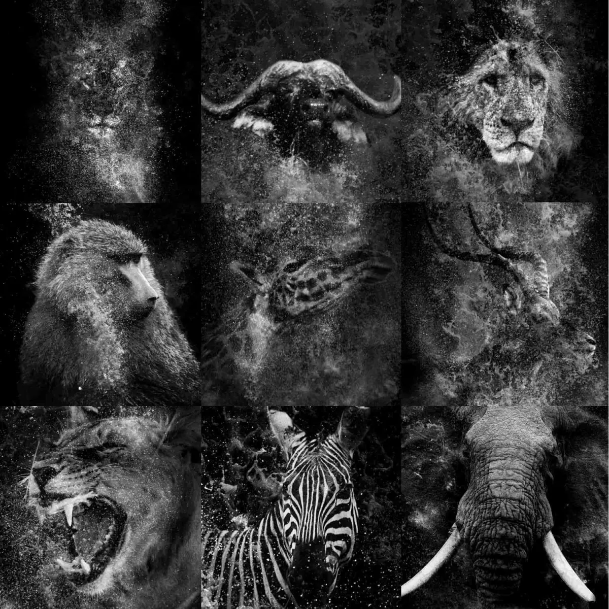 Find this collection of composites on my Opensea profile