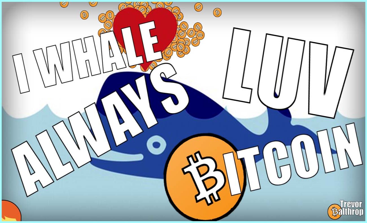 TREVOR BALTHROP BITCOIN ETHEREUM HISTORICAL MONTHLY DATA CHART CRYPTOCURRENCY PREDICTION TRADING INVESTING WHALE DEFI NFT THE REDHEAD