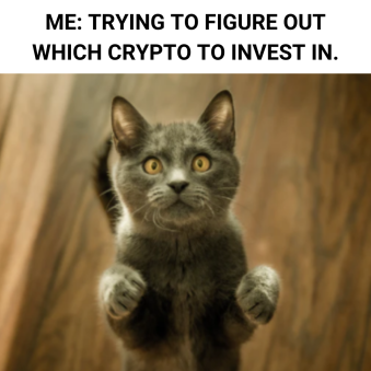 Just another meme