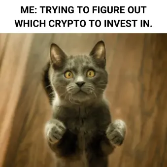 Just another meme