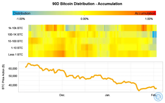 Distribution-Accumulation of Bitcoin during last 90 days by Address size