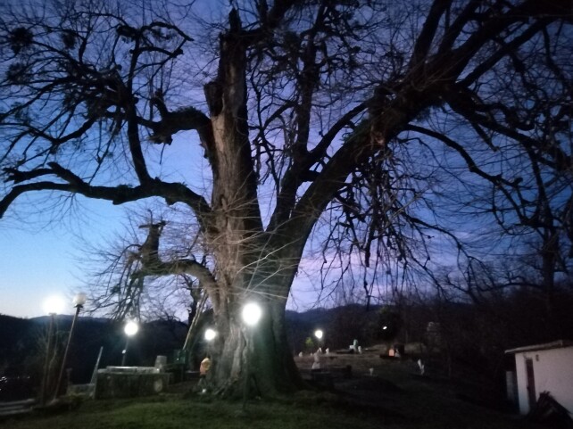 Have a Morning Stroll | a New Route & an Unusual Tomb ahead