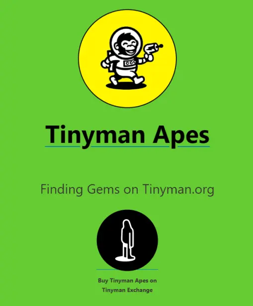 tinyman apes group discussion geo/algo