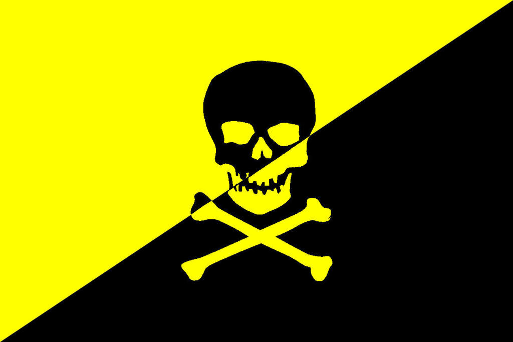 The unoffical AnCap Pirate Flag