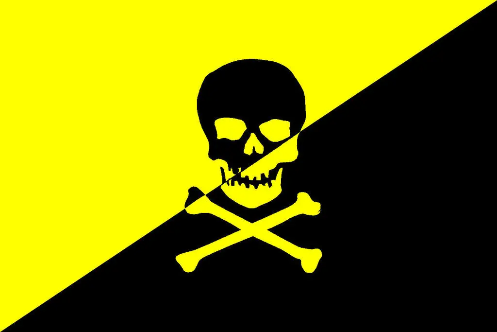 The unoffical AnCap Pirate Flag