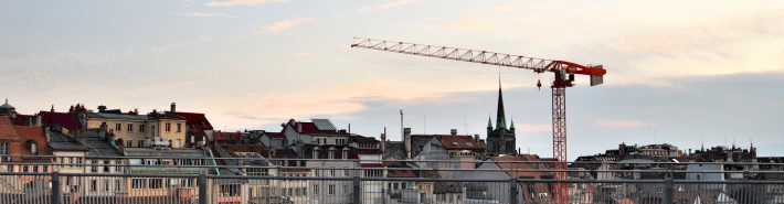 Crane in Lausanne landscape